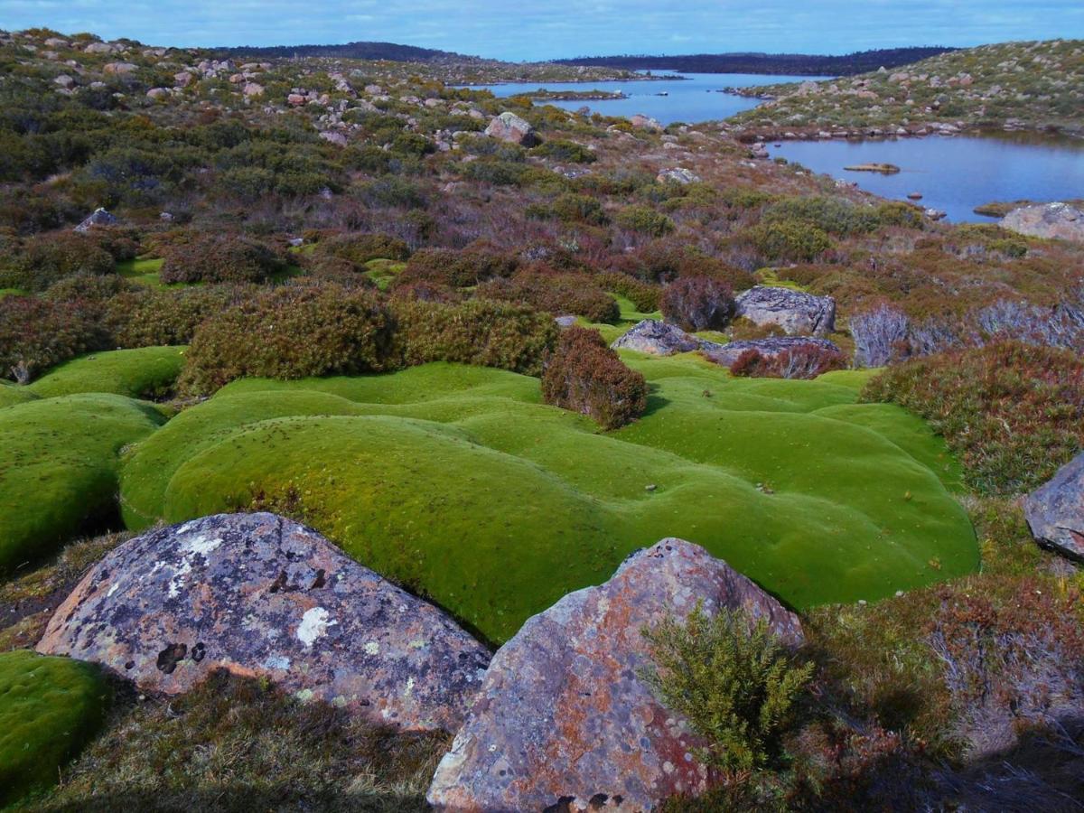 Thousand Lakes Lodge Liawenee Exteriér fotografie
